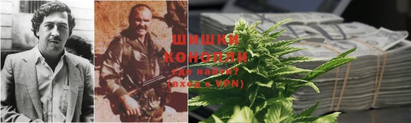 молекула духа Нефтекумск