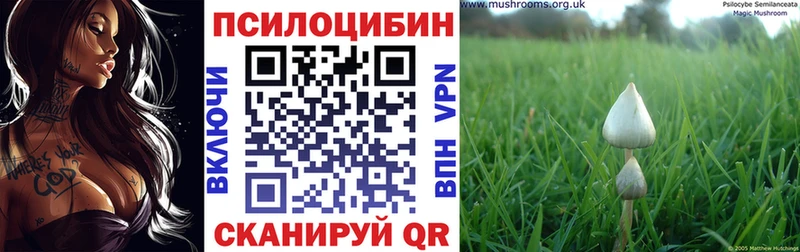 Купить  Славгород  Псилоцибиновые грибы Psilocybine cubensis 